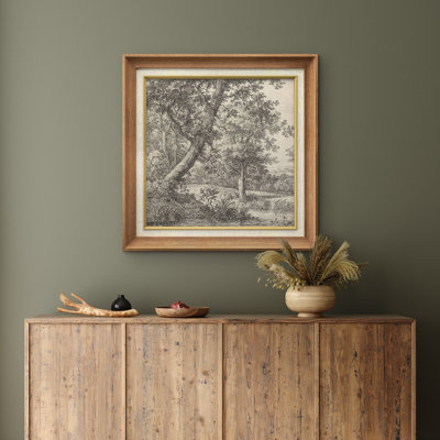 Croquis classique d'un arbre de forêt, nature élégante, paysage rustique, illustrations françaises