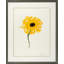 Stipple Flower Print by Robert Robinson