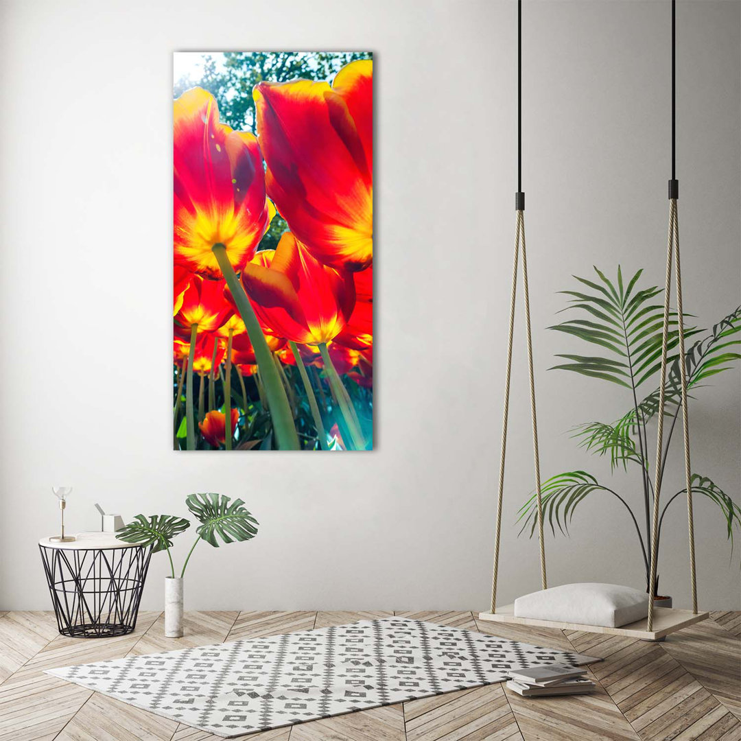 Monstera - Kunstdrucke auf Leinwand - Wrapped Canvas