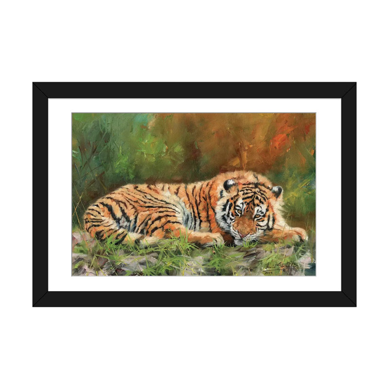 « amur tiger repose », impression sur toile, H 16 po x l 24 po x P 1 po, Papier d'art encadré noir, Blanc