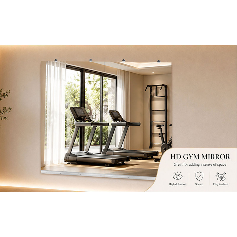 GYM MIROIR 30X48 POUCES - 2 pièces