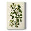 Olive Greenery V - peinture sur toile tendue-1700762136