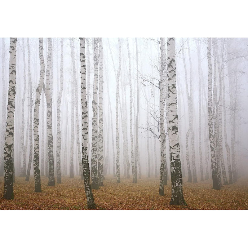 Murale forêt en automne, L 66 po x l 96 po