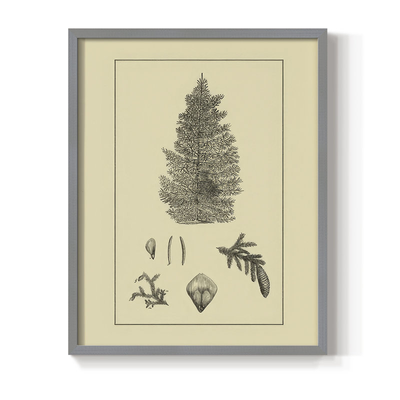 Arbor Study I, reproduction encadrée - bois massif, Gris, H 11 po x l 9 po