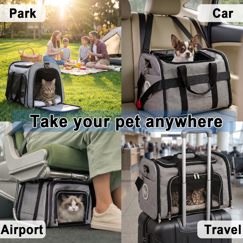 Porte-chat avec ventilateur, sangle d'épaule, tapis amovible