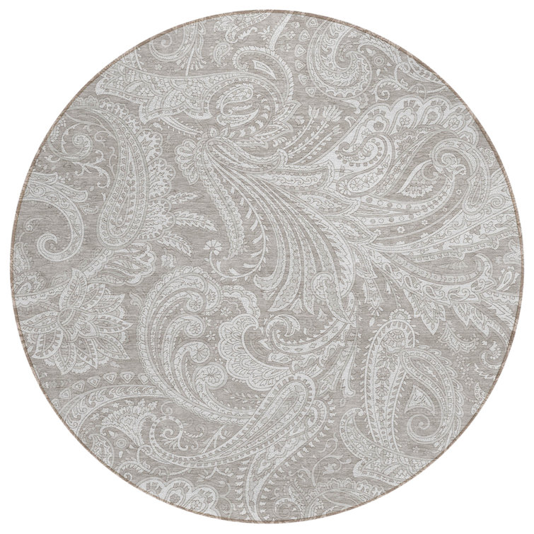 Cresley Paisley Indoor / Outdoor Rug