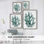 Coral Souvenirs I, reproduction encadrée - bois massif-2056533797