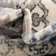 Charlotte Oriental Indoor Rug