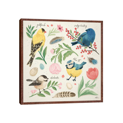 Bird Study II by Janelle Penner - Print on Canvas