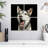Brampt Surprised Siberian Husky-109038348