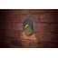 Oubre Integrated LED Outdoor Flush Mount-40414077