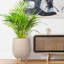 Concrete Effect Planter on Hardwood Legs, Round Indoor Plant Pot Stand for Indoor Plants, Indoor Flower Pot with Plaited Pattern-753632942-753632931