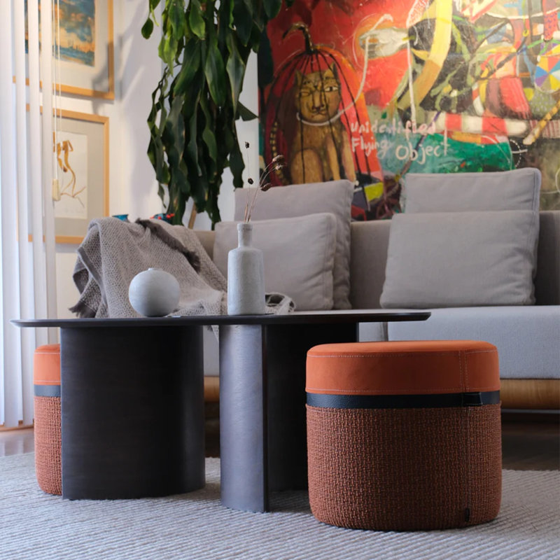 Kangaroo Solid Wood Coffee Table, Gray, Orange
