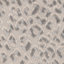 Spots Dove