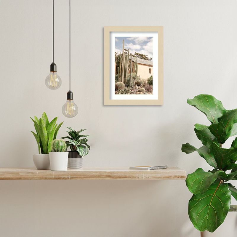 Daisey Karoo Garden 02 by Shot by Clint Wood Framed Wall Art Print, Brown , 13" H x 10" W