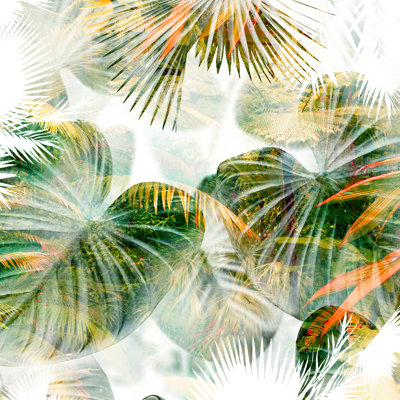 " Tropical Lush " by Iveta Abolina