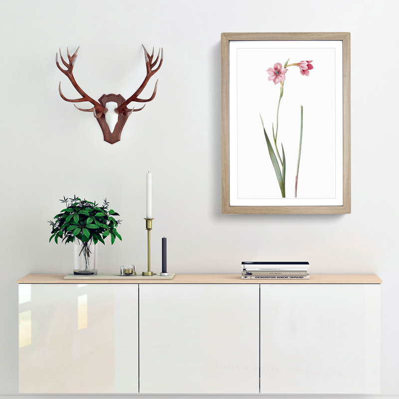 Pink Sword Lily by Pierre-Joseph Redoute - Picture Frame Painting Print, 48cm H x 36cm W x 2cm D, Oak Framed