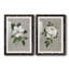 Magnolia botanique - ensemble de 2 reproductions d'art-866272705-866272718-866272719