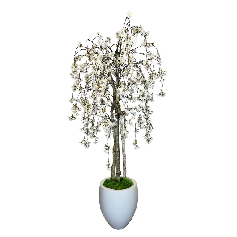 Faux cerisier en fleurs en pot de fleurs blanc, H 60 po x l 34 po x P 11,50 po