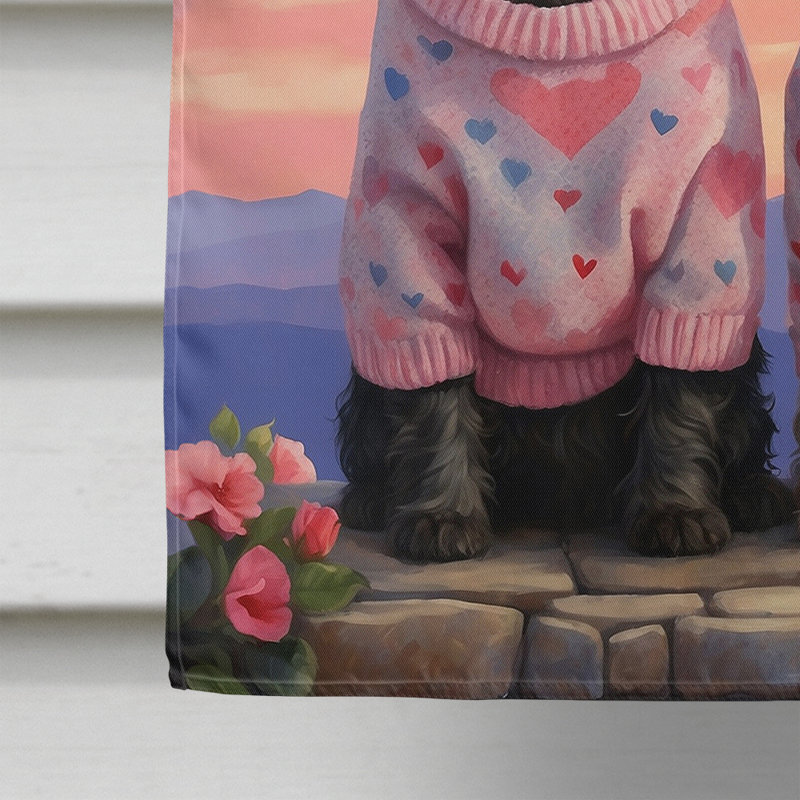 Double Sided 40'' H x 28'' W Polyester Valentine's Day House Flag