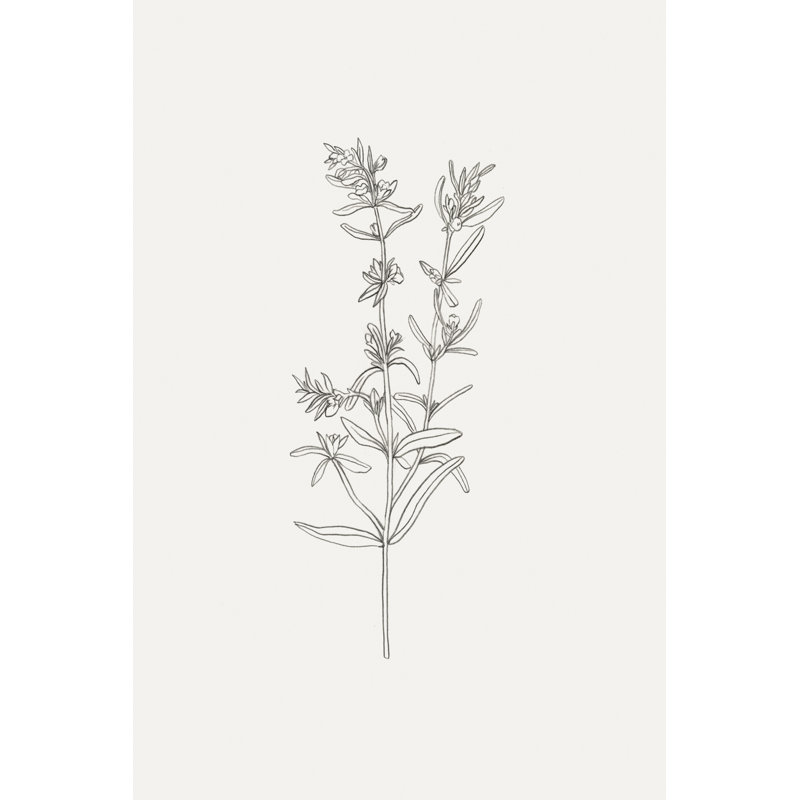 " Wild Foliage Sketch I " by Victoria Borges Painting Print, 30" H x 20" W x 1.25" D