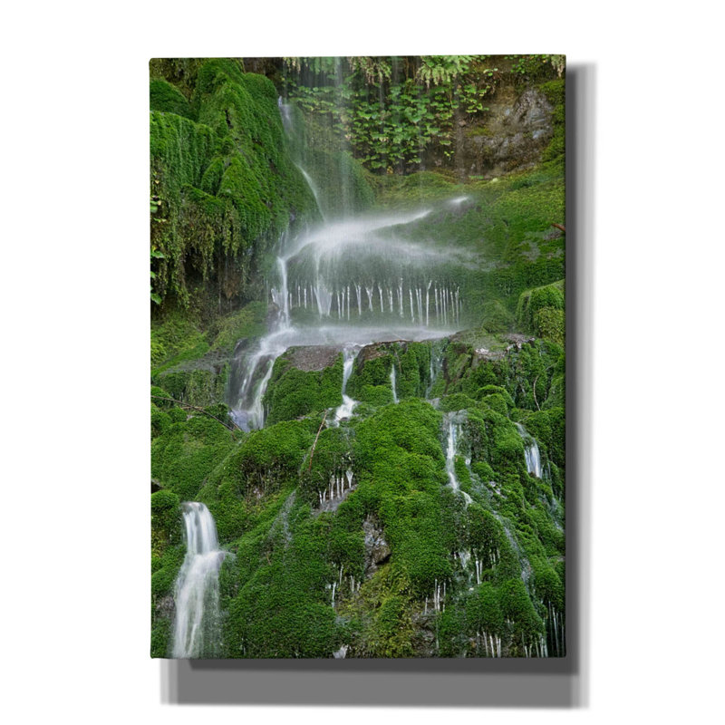 «Moss Waterfall» par Lynda White, art mural sur toile, H 26 po x l 18 po x P 0,75 po