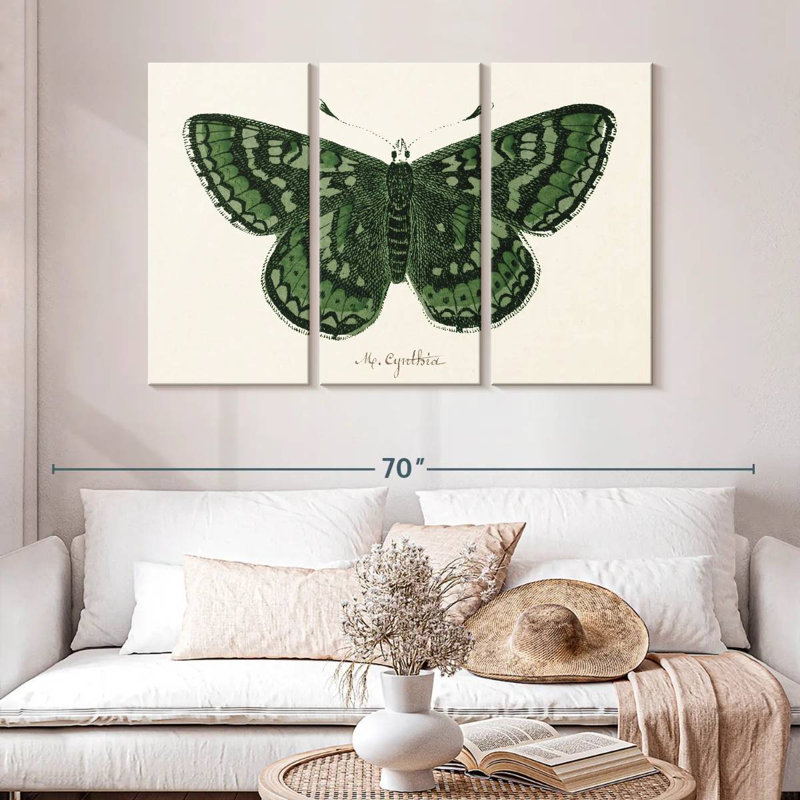 Antique Butterfly I, 32" H x 50" W