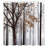 Picture of a Lonely Tree Leaves on an Abstract Woodland Background Print-89181784-89181813