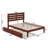 Jaqson Kids with Trundle-530375168-530375199