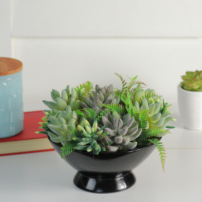 Plante grasse artificielle en pot 10 po verte et noire