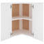 Eliaz Wall Hanging Corner Cabinet