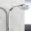 Leiker Thermostatic Shower with Adjustable Shower Head