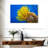 Brampt Yellow Feather Starfish-107847537