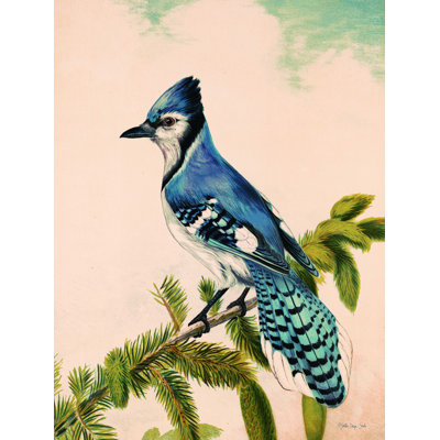 " Bluebird On Evergreen " by Stellar Design Studio