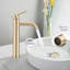 Robinet de lavabo de salle de bain - haut - pour or brossé avec poignée simple et un trou-127300347