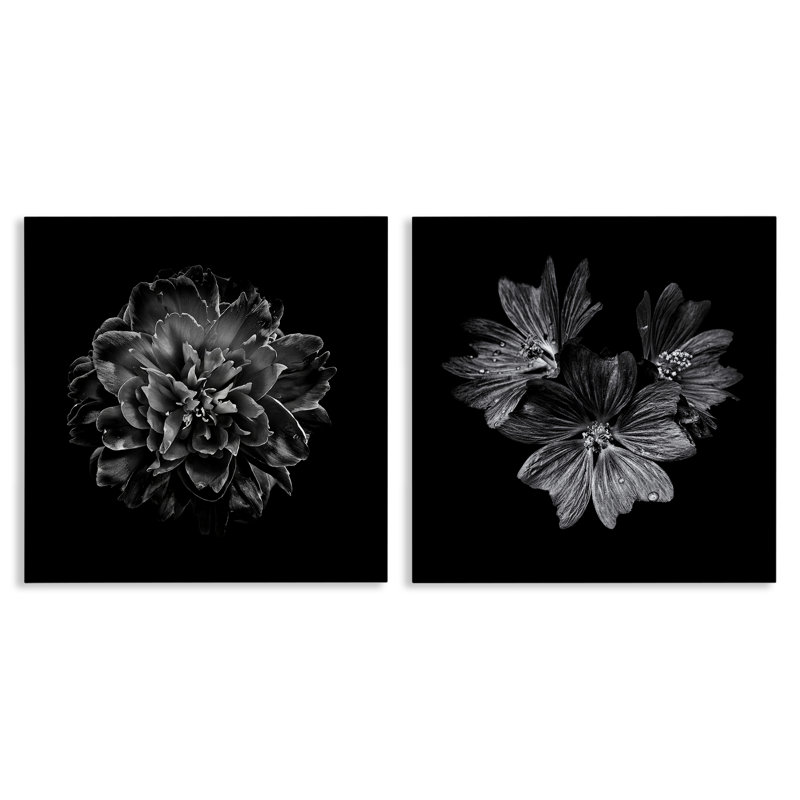 "Stupell Industries Blossoms with Water Droplets", ensemble de 2 toiles murales par Brian Carson, H 17 po x l 17 po