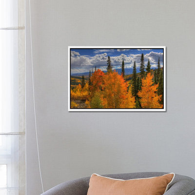 Autumn Fire At Ohio Pass 1 Piece Wall Art on Canvas