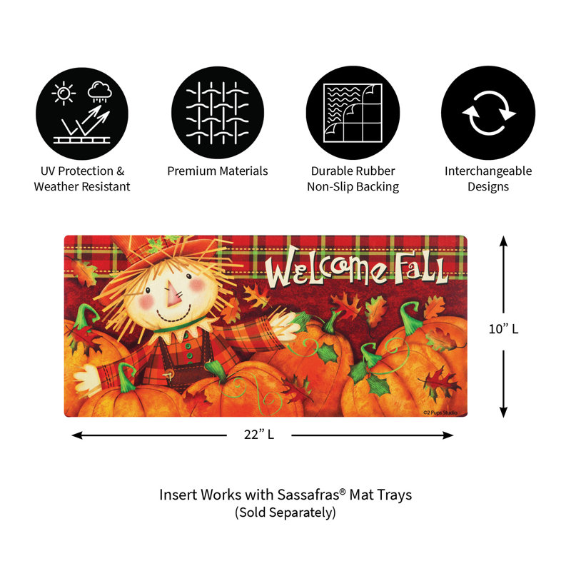 Sassafras Welcome Mat and Frame Set with All Season Inserts and 1 Rubber Frame