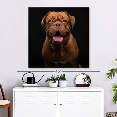 Crowle Bordeaux Mastiff