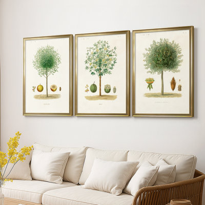 Antique Tree with Fruit VII  -Custom Framed  Wrapped Gallery Canvas - 3 Pieces