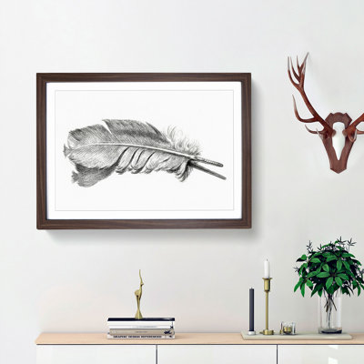 Feather by Jean Bernard - Picture Frame Drawing Print