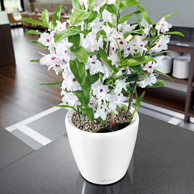 Classico Pot Planter, Cream White, 20cm H x 21cm W x 21cm D