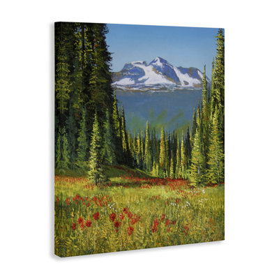 Art mural sur toile Alpine Valley Meadow par Andrew Kiss