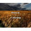 Citation artistique «Prove it». Toile tendue par J. Sterling-1375506837