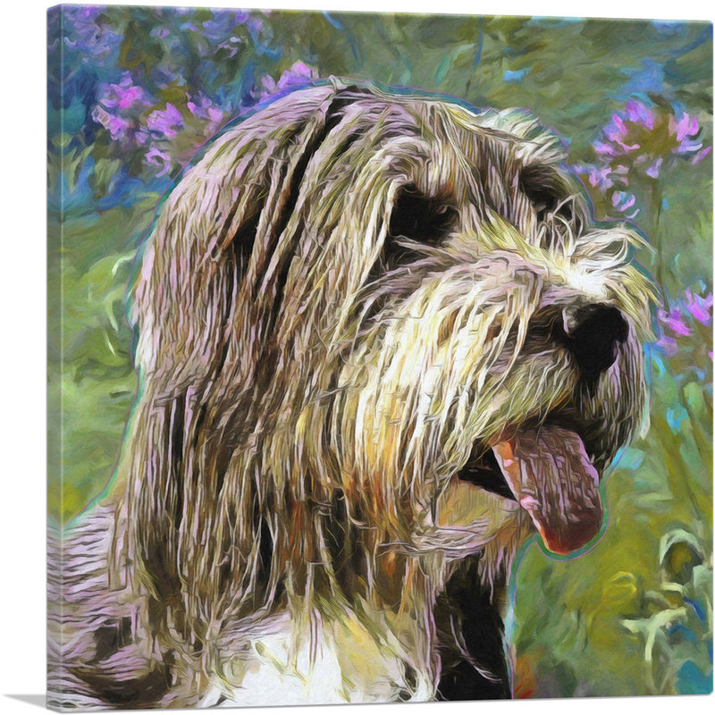 Reproduction de peinture sur toile barbu, H 26 po x l 26 po x P 1,5 po