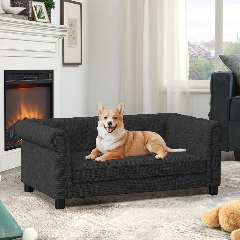 Élégant lit pour animaux de compagnie rectangulaire pour petits et moyens chiens, canapé-lit surélevé durable, canapé pour chien confortable, canapé pour chien en lin moderne et tendance - noir