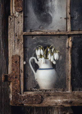 Wrapped Canvas Print, 121.92cm H x 81.28cm W