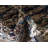 Galitea Geometric Indoor Rug-905595077