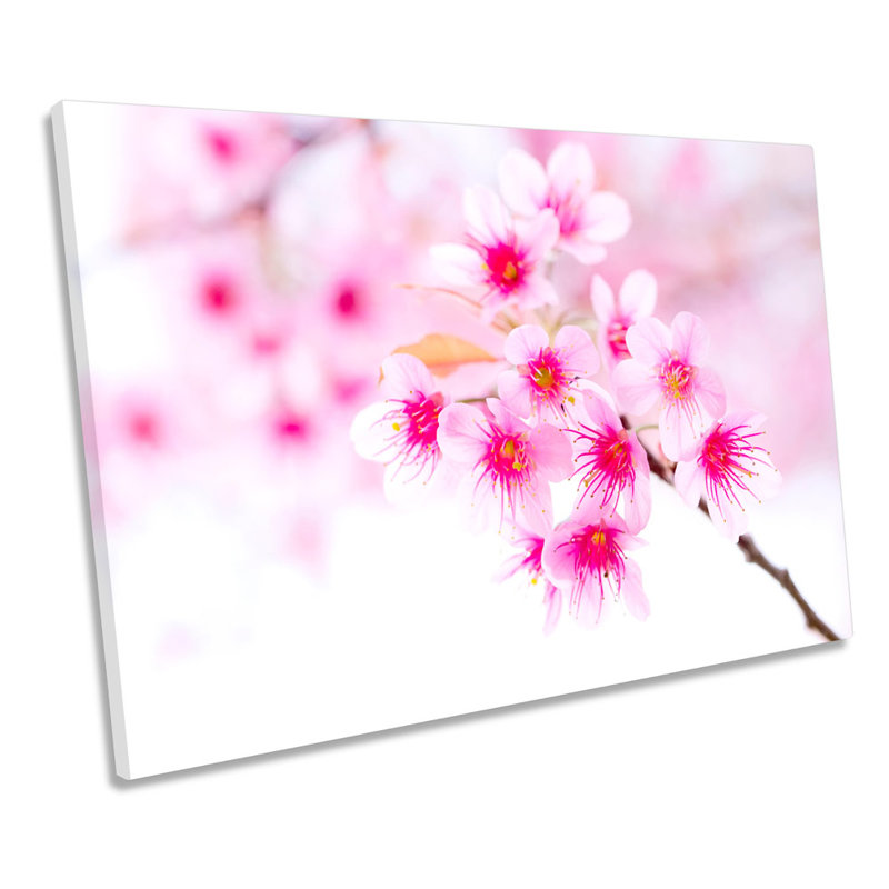 Cherry Blossom Flower Pink Floral - Wrapped Canvas Print, 50.8cm H x 76.2cm W