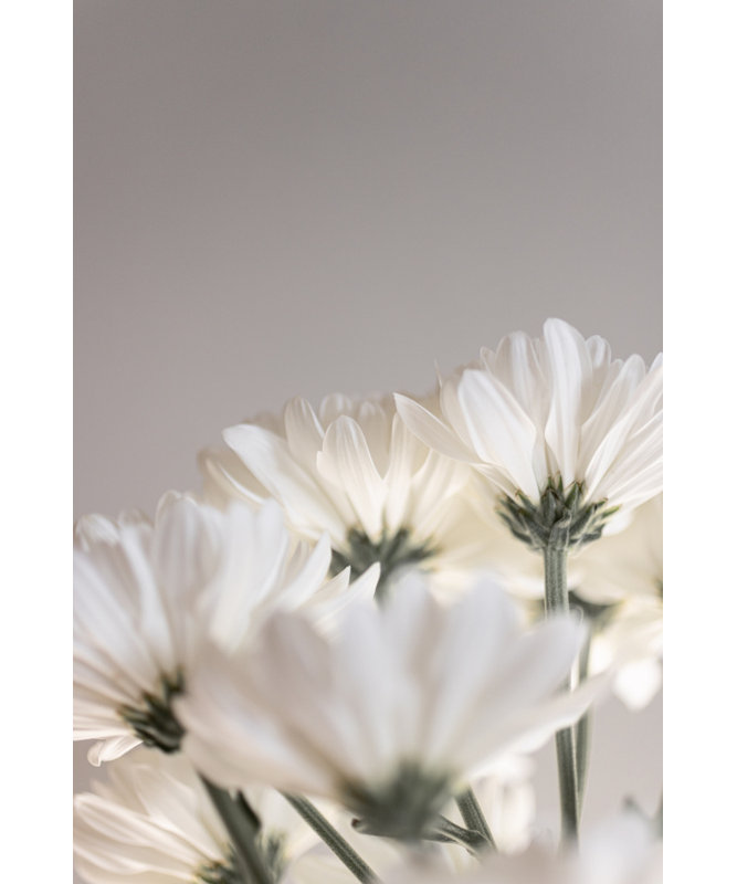 Wrapped Canvas Print, 76.2 cm H x 50.8 cm W
